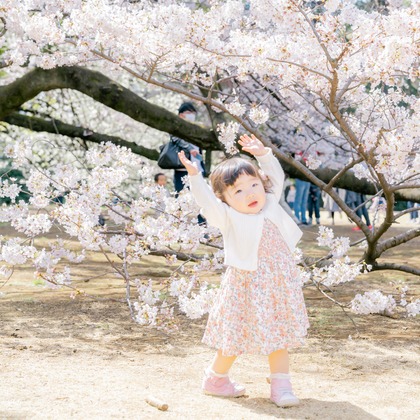 かわもとえつこが撮影した「:albumName」の写真