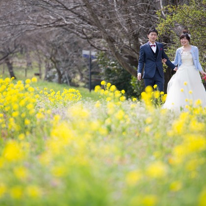 Photo of Spring Japan taken by Takano Kazuki