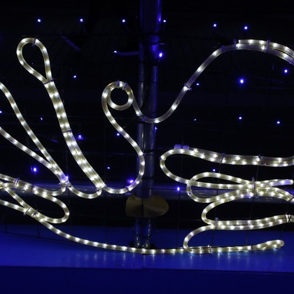 ＮＫ フォトエージェンシーが撮影したその他の写真