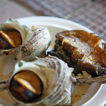 村田わかな広告写真が撮影した店舗/オフィス/サロン撮影/料理撮影/人物撮影の写真