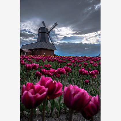 高木勇斗が撮影したその他の写真