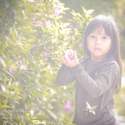 MF STUDIO Migoが撮影した家族写真の出張撮影の写真