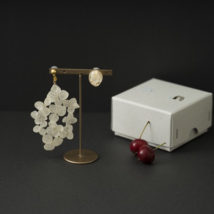 笠井鉄正写真事務所が撮影した「:albumName」の写真