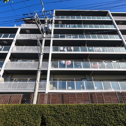 Photo Mが撮影した「:albumName」の写真