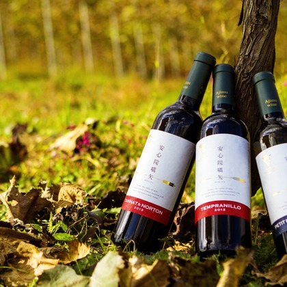 笠井鉄正写真事務所が撮影した「:albumName」の写真