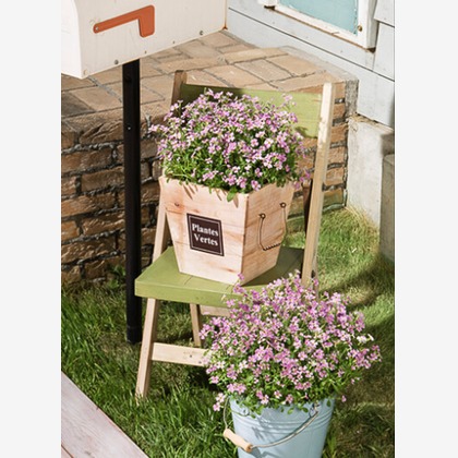 有限会社　澤田スタジオが撮影した「:albumName」の写真