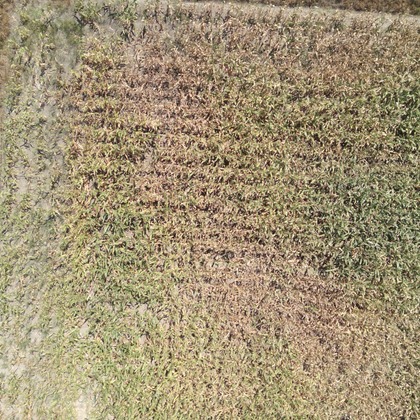 アナハイムエレクトロニクスが撮影したその他の写真