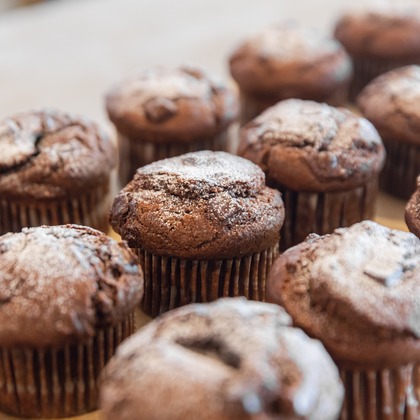 内藤駿介が撮影した「:albumName」の写真