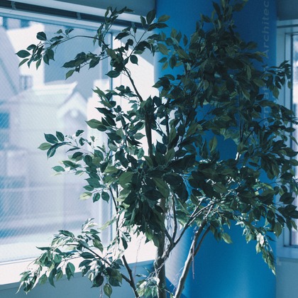 Yasui photographyが撮影したウェディングや家族、ビジネスの写真