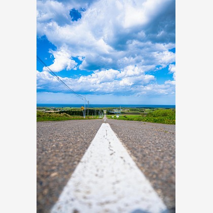 高木勇斗が撮影したその他の写真