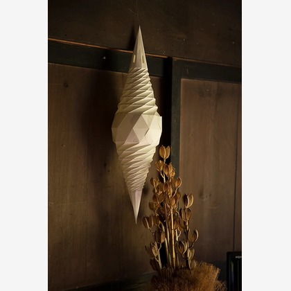 白井由香里写真事務所が撮影した「:albumName」の写真