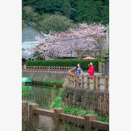 8StarWeddingが撮影した「佐原」の写真