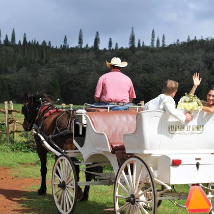 今林 浩一が撮影した「:albumName」の写真