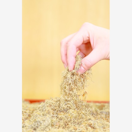 （株）建基が撮影した店舗/オフィス/サロン撮影/料理撮影/商品/物撮りの写真