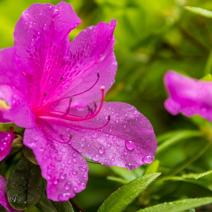 フォトオフィス　ルミエが撮影した「:albumName」の写真