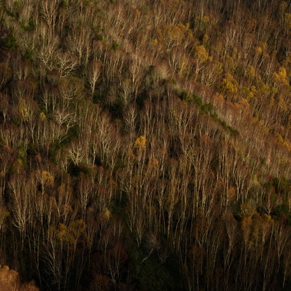 鶴巻直満(T-PHOTO OFFICE)が撮影した「:albumName」の写真