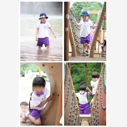 有限会社フリーディメンション　田中勝巳が撮影した「:albumName」の写真