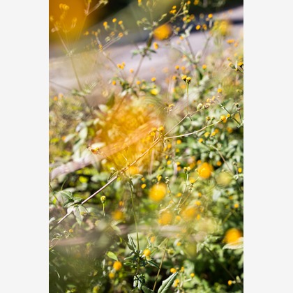 内山慎也が撮影した「:albumName」の写真