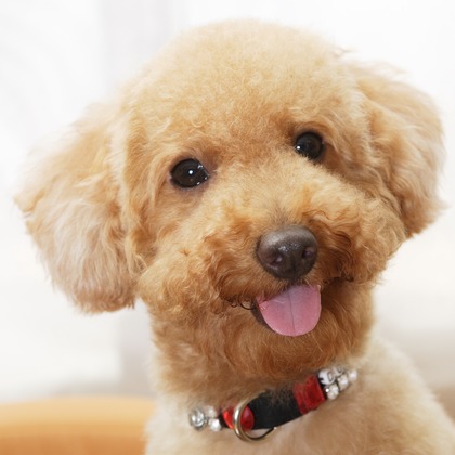 森安　照が撮影した「:albumName」の写真