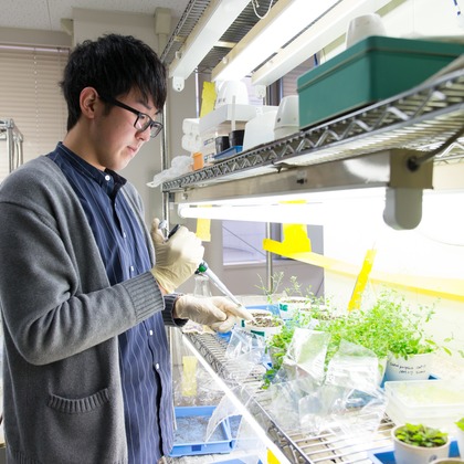 kentarou shimizuが撮影した「:albumName」の写真