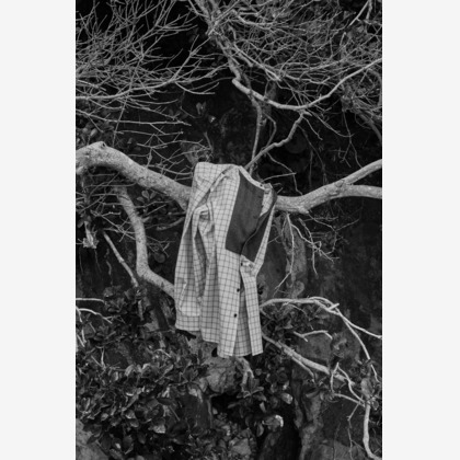 古口悠が撮影した「:albumName」の写真