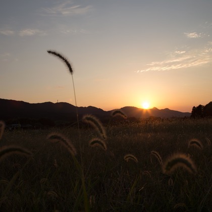 TAROU_HATANAKA が撮影したウェディングや家族、ビジネスの写真
