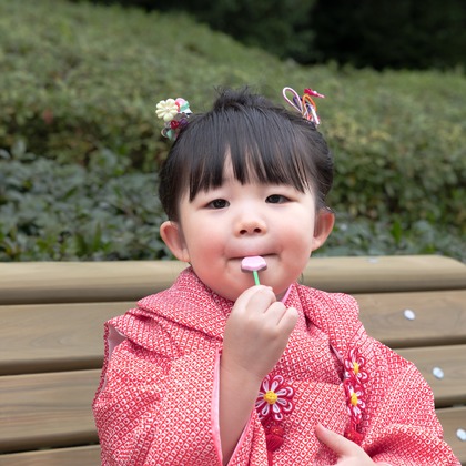 ミヤタカズコが撮影した「:albumName」の写真