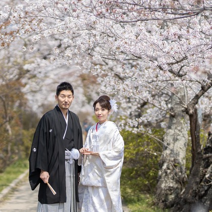 Photo of Kyoto　Prewedding photo with cherryblossom taken by saruco(Hisashi Iwasaki)