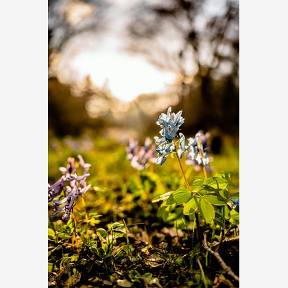 高木勇斗が撮影した「:albumName」の写真