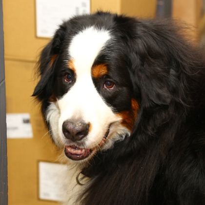 TSD officeが撮影した「:albumName」の写真