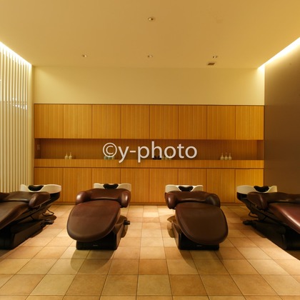 y-photoが撮影した「:albumName」の写真