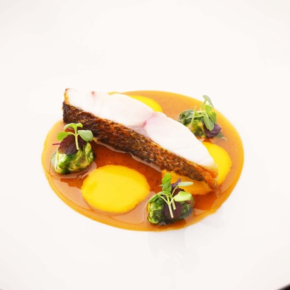 森安　照が撮影した「:albumName」の写真