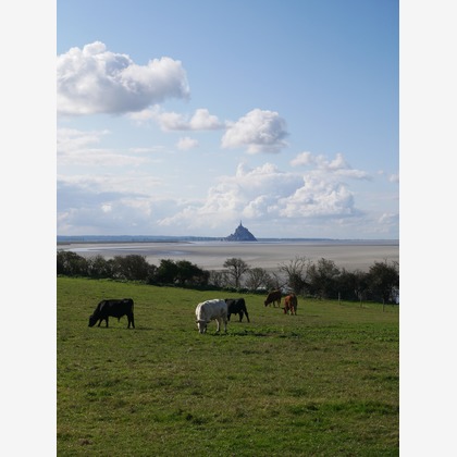 ant10.が撮影したその他の写真