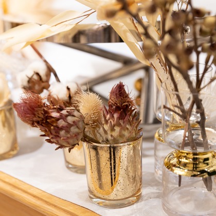 森岡　史仁が撮影したその他の写真