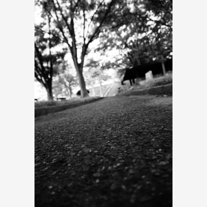 細部　歩が撮影したウェディングや家族、ビジネスの写真