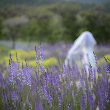 Photo of :albumName taken by C.RELATIONS