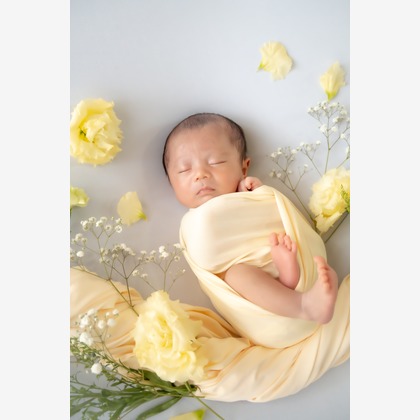 鈴木美咲が撮影した「:albumName」の写真