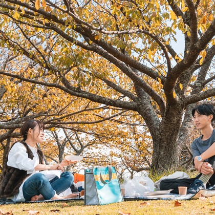 日下翔太郎が撮影した家族写真の出張撮影の写真