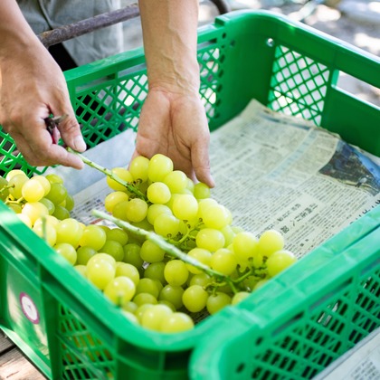 大森美紗生が撮影した店舗/オフィス/サロン撮影/商品/物撮りの写真