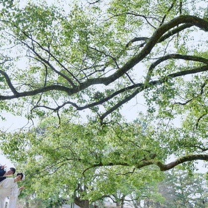 キキフォトワークスが撮影したウェディングや家族、ビジネスの写真