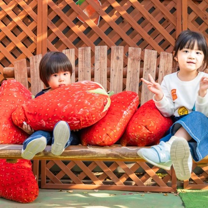 maimaiCameraが撮影した「:albumName」の写真