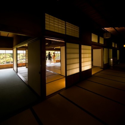 ピュアアーティス(小島 靖雄)が撮影した「:albumName」の写真