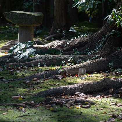 デグチマミが撮影した「:albumName」の写真