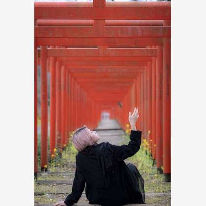 ならもとかずやが撮影した「:albumName」の写真