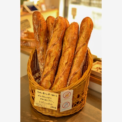 山口　朝也が撮影した「:albumName」の写真