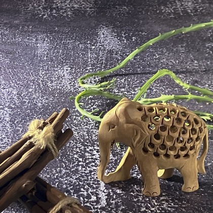 マモさんの写真室が撮影した商品/物撮りの写真