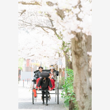 ヨッシ～が撮影した「:albumName」の写真