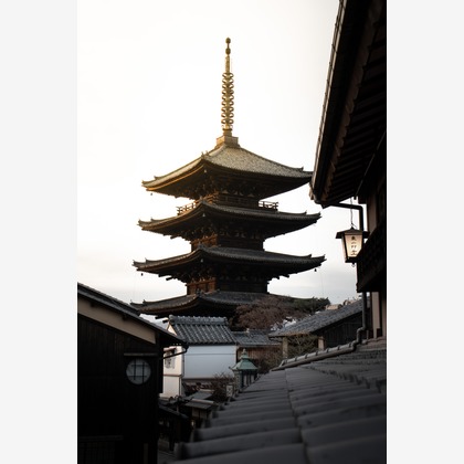 中田凌太郎が撮影したイベント/スナップ撮影の写真