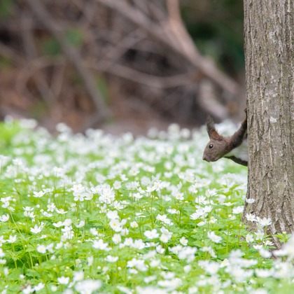 山口奈緒が撮影した「:albumName」の写真