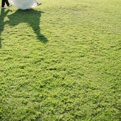 elle pupaが撮影した「:albumName」の写真